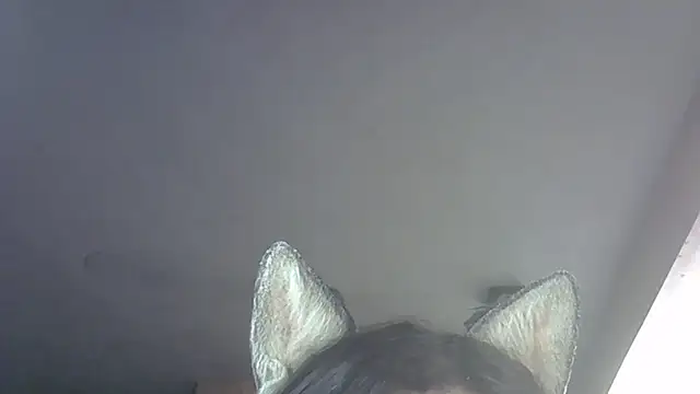 Skinny-Kitten online show from December 3, 2:27 am