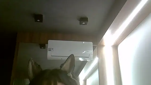 Skinny-Kitten online show from February 13, 5:14 am