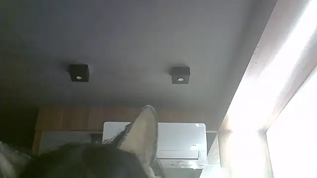Skinny-Kitten online show from May 17, 11:10 am