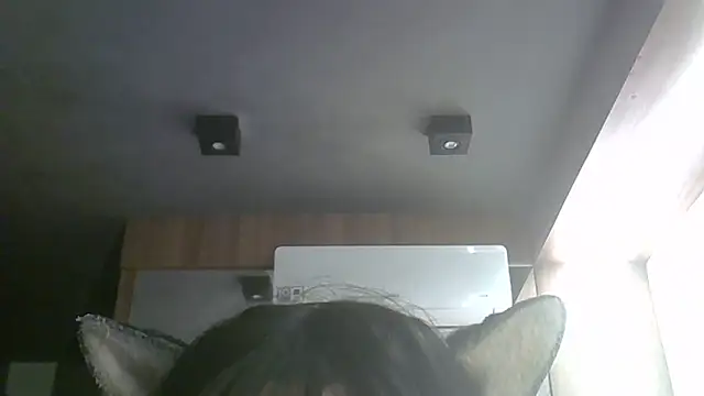 Skinny-Kitten online show from May 26, 2:19 am